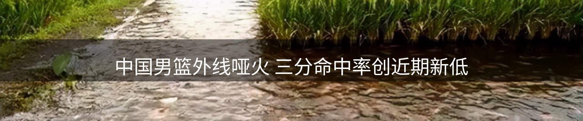 最新资讯